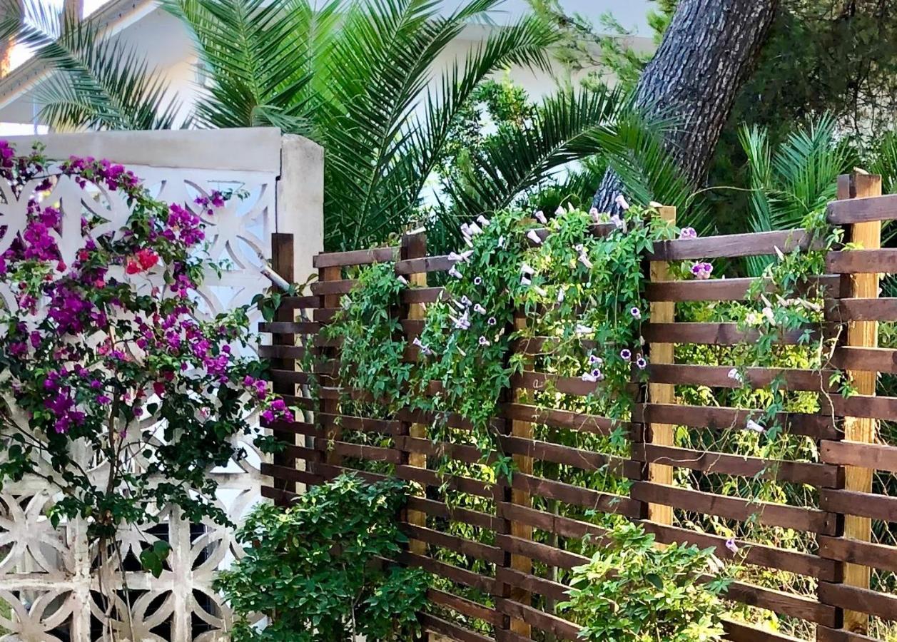 Villa Can Ordinas Alcúdia Kültér fotó